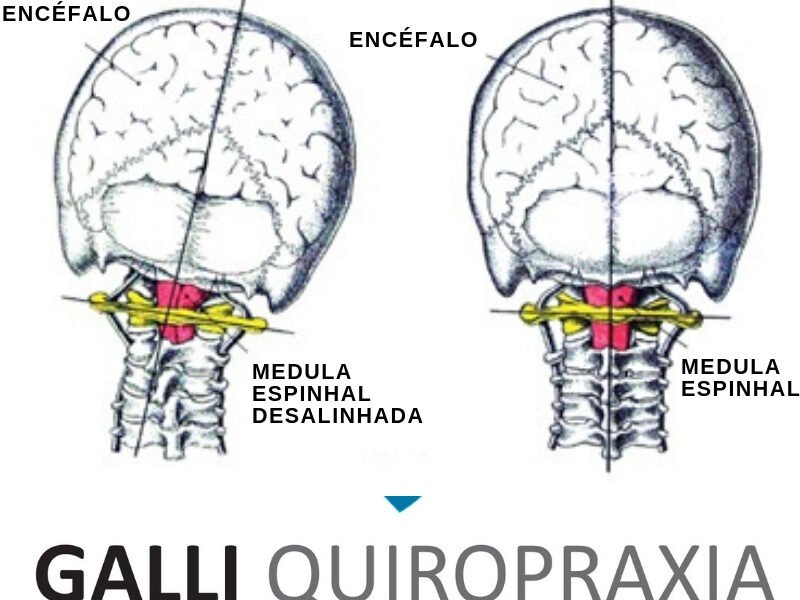 Saúde Integral Quiropraxia São Paulo