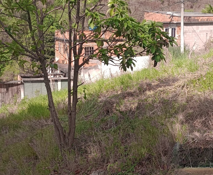 Terreno de esquina