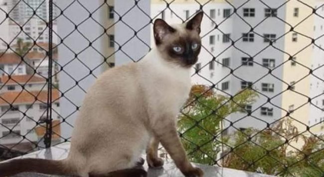 FAVORITA REDES DE PROTEÇÃO NA SAUDE