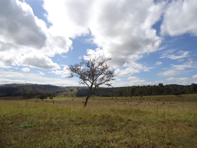 Lote 1.700m² em Crucilândia / Bonfim - Financia