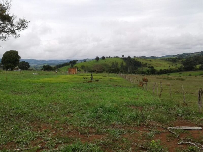 Lote 1.700m² em Crucilândia / Bonfim - Financia