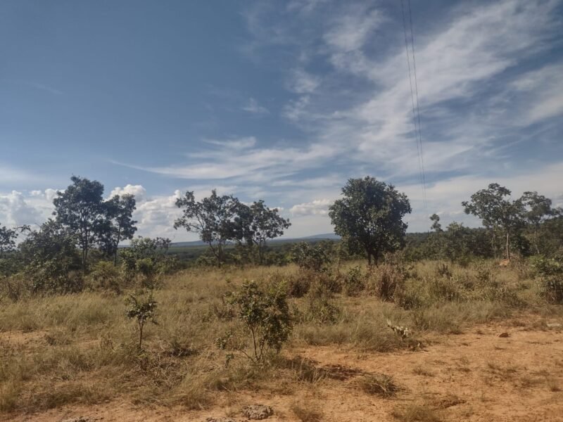 Lotes em Corinto com financiamento próprio -1000m²
