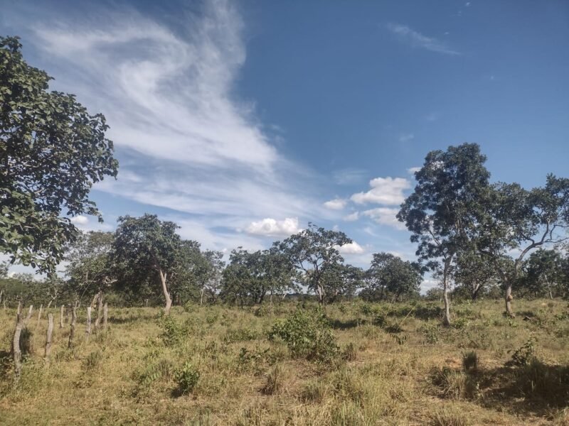 Lotes em Corinto com financiamento próprio -1000m²