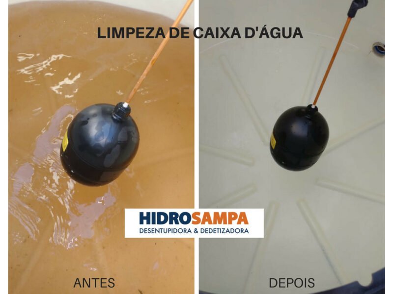 Desentupidora e Dedetizadora