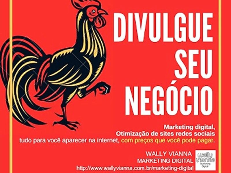 Wallace Vianna Marketing digital autônomo / freelancer RJ