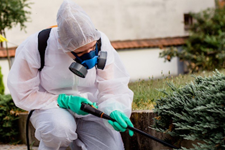 Empresa Dedetizadora na Zona Leste