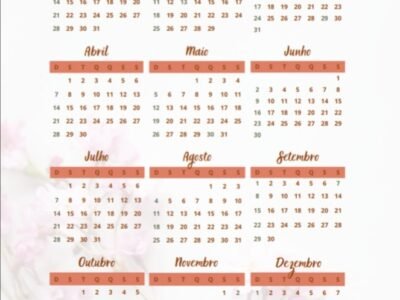 Devocional Bíblico PLANNER 365 dias