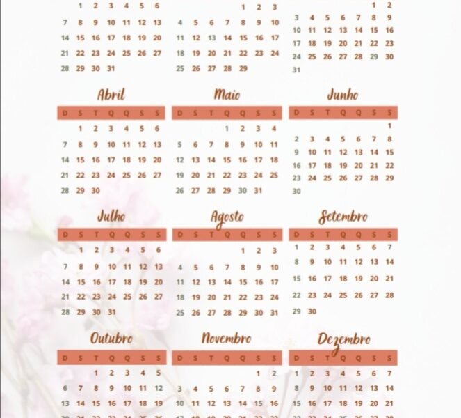 Devocional Bíblico PLANNER 365 dias