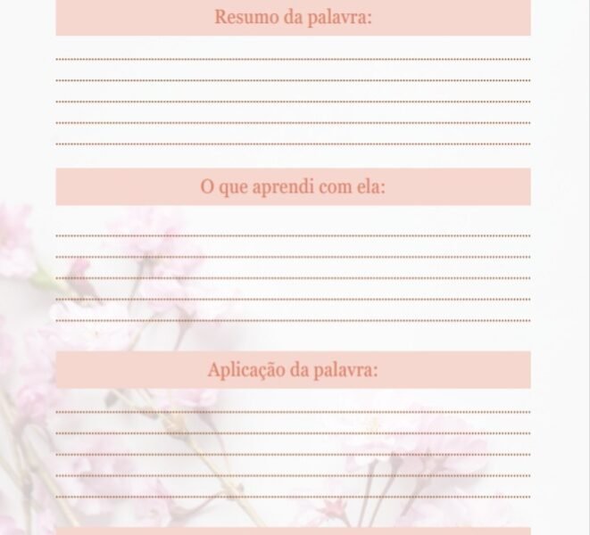 Devocional Bíblico PLANNER 365 dias