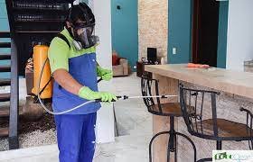 Empresa Dedetizadora na Zona Leste