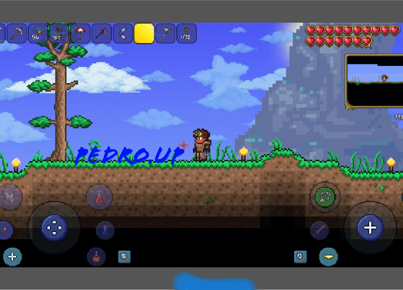 Terraria