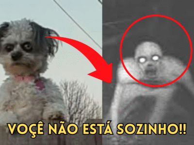 Skinwalkers São Reais? O Que Descobriram Vai Te Arrepiar