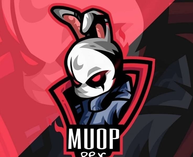 Se Inscreve no canal do MUOP, O jogador de FF místerioso.